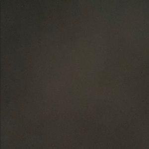 Meet your Posher, Lisa adnan